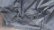 画像5: 米軍実物NAVY古着ウインドブレーカー90'sビンテージ黒系チンスト付LミリタリージャケットUSNドリズラージャケット海軍オールド＆レト