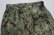 画像1: 米軍USNアメリカ古着カーゴパンツ33ミリタリーパンツAOR迷彩ACU海軍特殊部隊NAVYコンバットパンツ8ポケットSEALSネイビー シールズ (1)