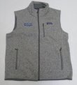 画像1: パタゴニアPATAGONIアメリカ古着フリースベストLビッグサイズ右胸刺繍アウトドアベストSOUTHEAST REGIONグレー系オールド＆レトロ 