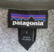 画像8: パタゴニアPATAGONIアメリカ古着フリースベストLビッグサイズ右胸刺繍アウトドアベストSOUTHEAST REGIONグレー系オールド＆レトロ 